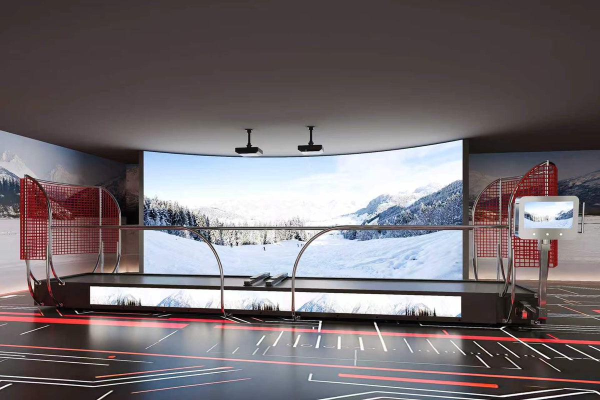 AceBall Ski Simulator